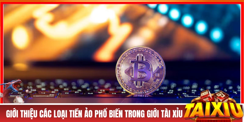 Tài Xỉu Tiền Ảo - Giải Trí An Toàn, Tiện Lợi Và Xanh Chín Giới thiệu các loại tiền ảo phổ biến trong giới tài xỉu
